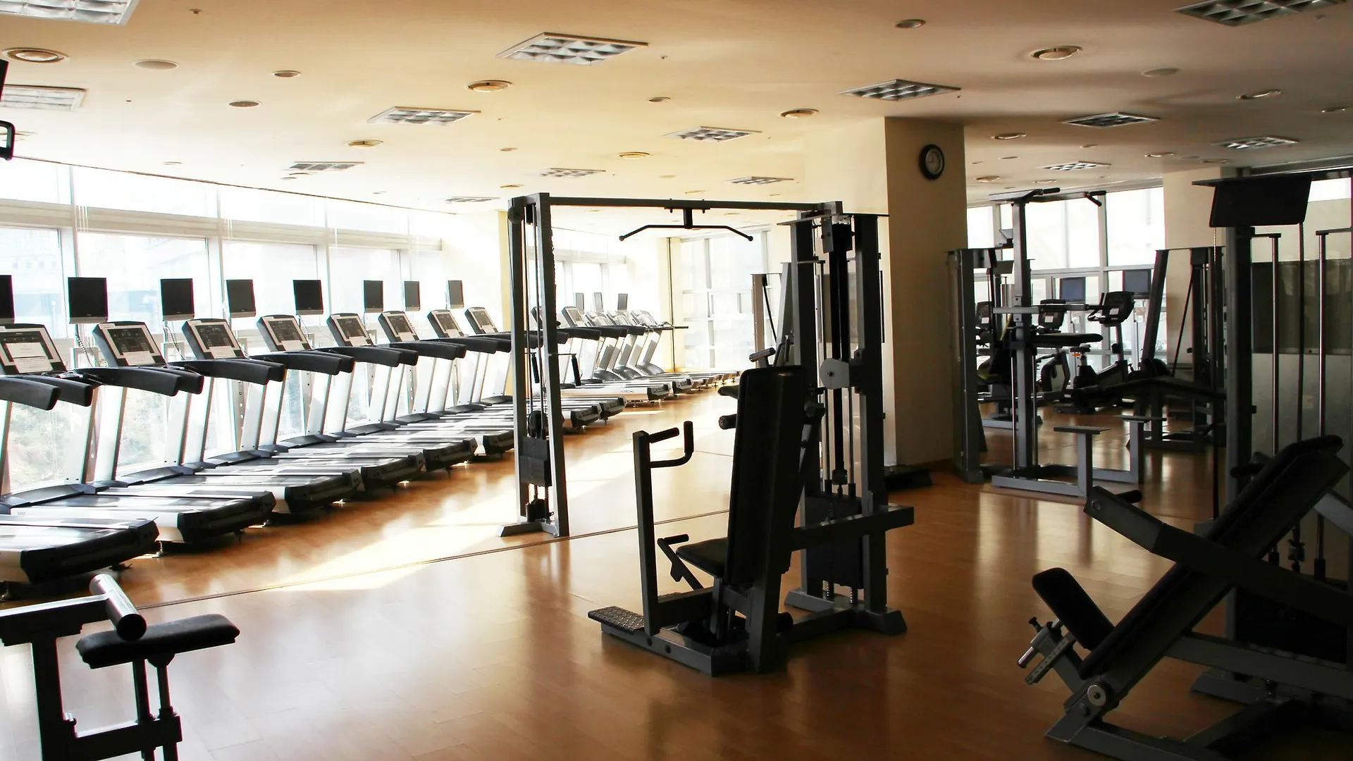 Hotel Busan Tourism Organization Arpina